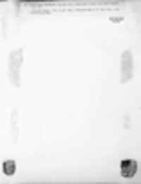 Verrucaria glabrata image